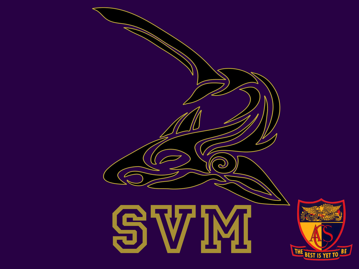 SVM